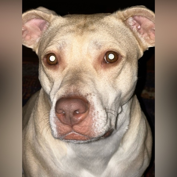 Meet your Posher, Karen - Picture 4 of 17